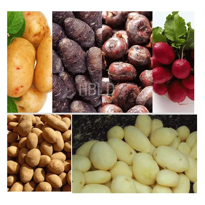 HBLD Commercial Potato Peeler  - Commercial Potato Peeler ulasan dan harga